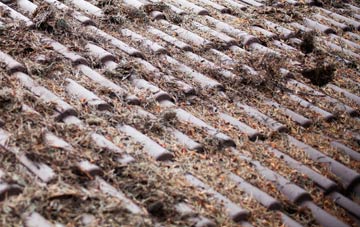 Maltby Le Marsh roof cleaning companies