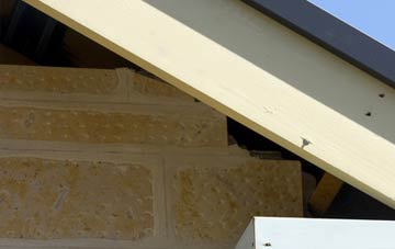 soffit repair Maltby Le Marsh